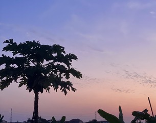 9B635DBF-8D2D-4B53-9199-017755B4C479/L0/001