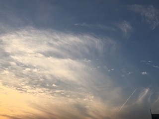 AE6E8CA5-BB4D-4878-8C90-472D33A433B1/L0/001