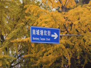 2288797