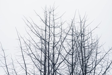 DB422B86-D7A3-4569-B473-65734B41F1F6/L0/001