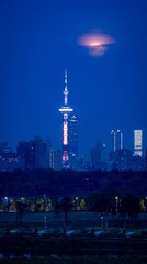 779A2CE7-57E7-406C-8F5B-B74706E1AF38/L0/001