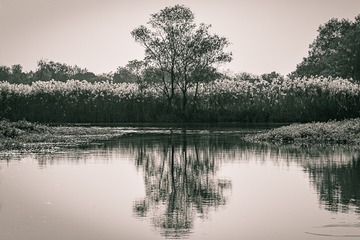 905118