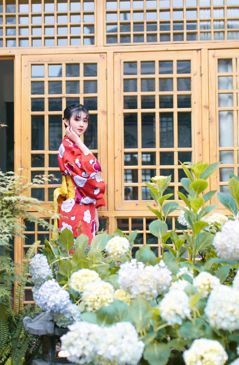 和服与绣球花少女