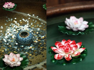 铺满硬币的水缸&假荷花