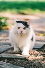 11512
