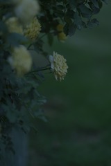16A79272-8FCE-41CF-8188-43F2AF0FA395/L0/001