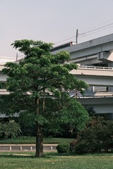 70D8354A-B12A-46CB-9612-75131E2C6357/L0/001