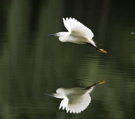 1206656