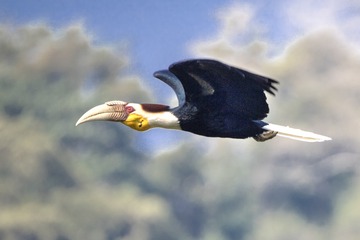 54895