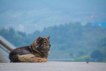 C90DC869-55BB-4C88-9957-5386D1A4AFDC/L0/001