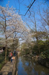 DSC00365.jpg
