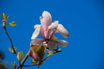 DSC00388.jpg