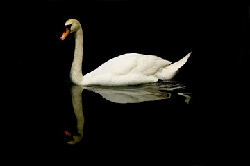 IMG_2676___