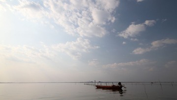 IMG_2413.jpg