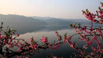 IMG_4006__