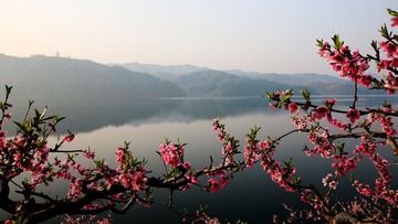 IMG_4006__