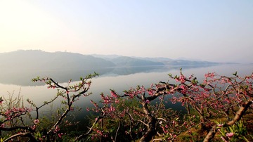 IMG_4004__