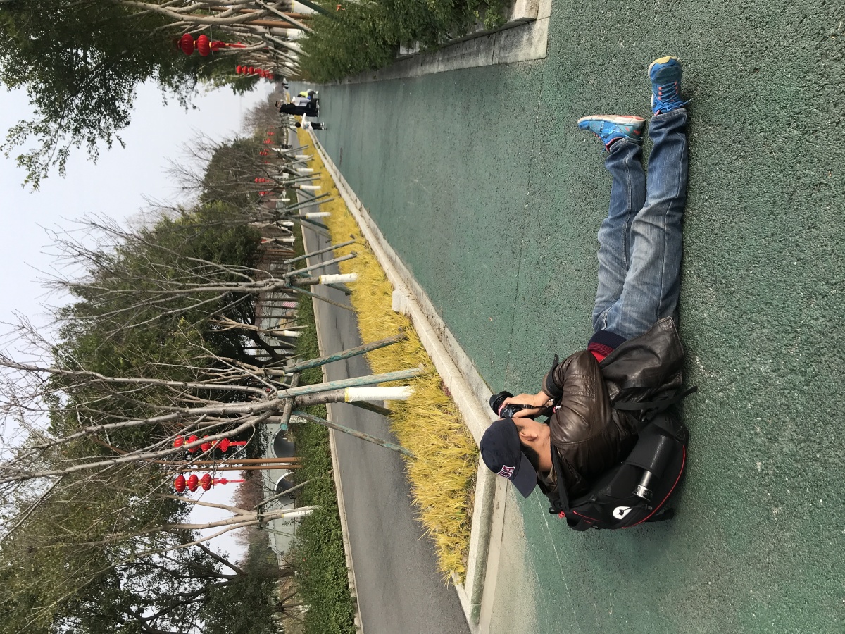 组照:拍拍摄影师. - 陈东平 - 图虫