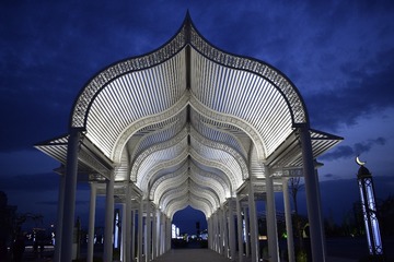 _DSC0231