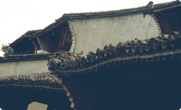 DSC03850_副本.jpg