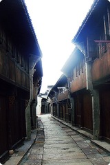 DSC03816_副本.jpg