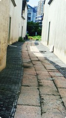 DSC03825_副本.jpg