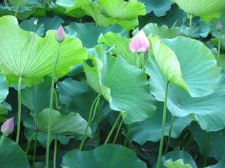 ++BIG++IMG_3854