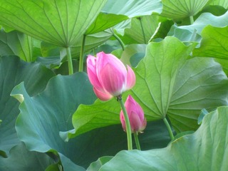 ++IMG_3827