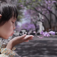 DB066461-852E-4DAB-9DFA-6B0A50BD7B45/L0/001
