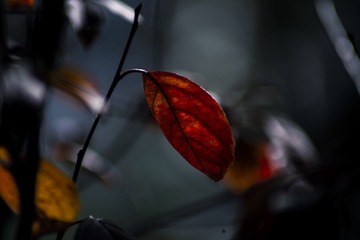 15601