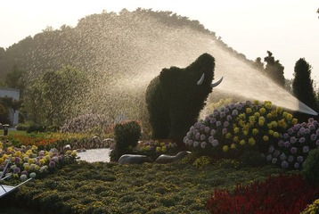 沐