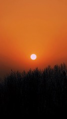 961550A0-3A5B-49EF-B575-F1580CC882D3/L0/001