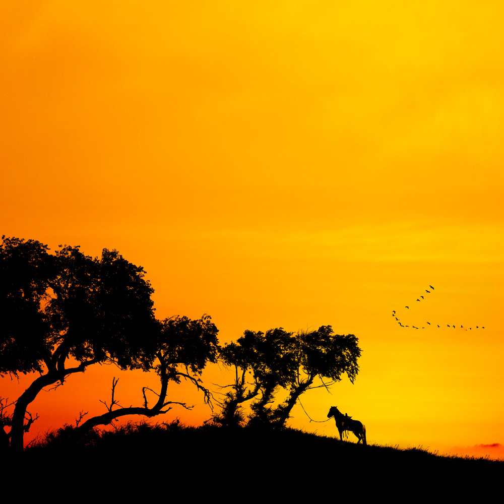 向往未来的思维