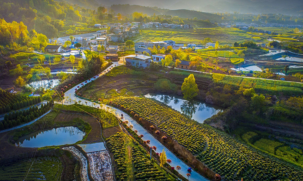 山村巨变风景秀丽蒋家堰镇东桥村田园风光