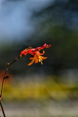 BD08234E-6696-4B74-B730-E8D70DA417B1/L0/001