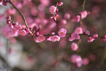 AB327D7E-915A-4827-A5AF-FE43BB3FE695/L0/001