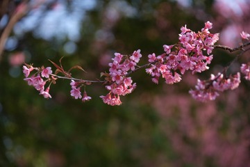 222F238C-5E93-456C-8004-4401CC465F40/L0/001