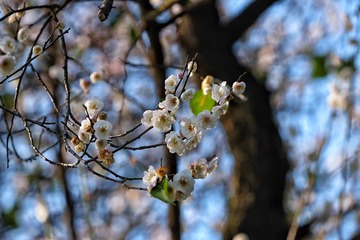 77E11709-B980-4ED9-9C59-3C3D66D88871/L0/001