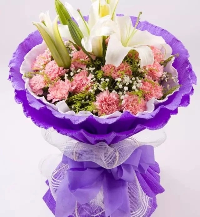 康乃馨献给母亲的花