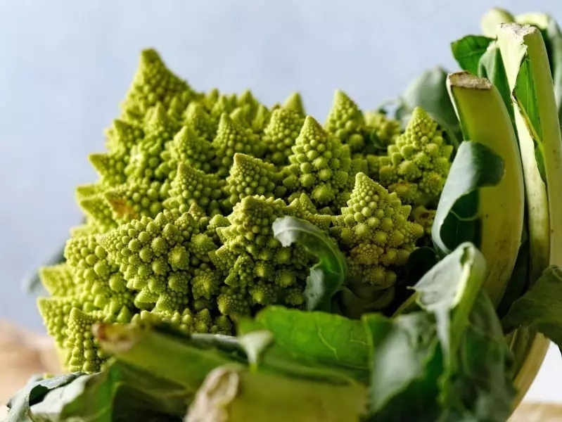 绿色的宝塔菜花图片