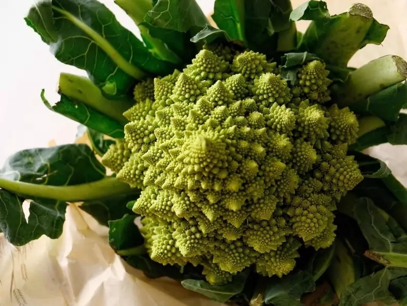 绿色的宝塔菜花图片