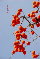 tmp_d3337c484d3d4a0a5d8937c9194a350c7f5a4eeb8c1ba394