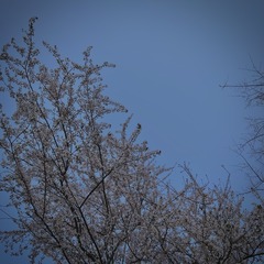 5B4A96B7-72F8-4C57-A96F-1828357E2459/L0/001
