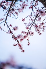 8E12E3C9-BE6C-4837-BFC4-6E1EE66EACB2/L0/001