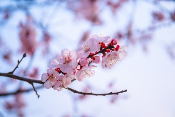 6BABBEF5-4E5D-4A55-B390-797F258E16AC/L0/001