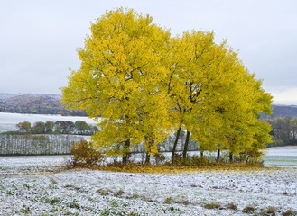 958449