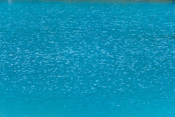 1000006551