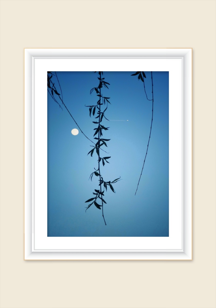 月上柳梢头明月今日有把酒问青天但愿人长久千里共婵娟