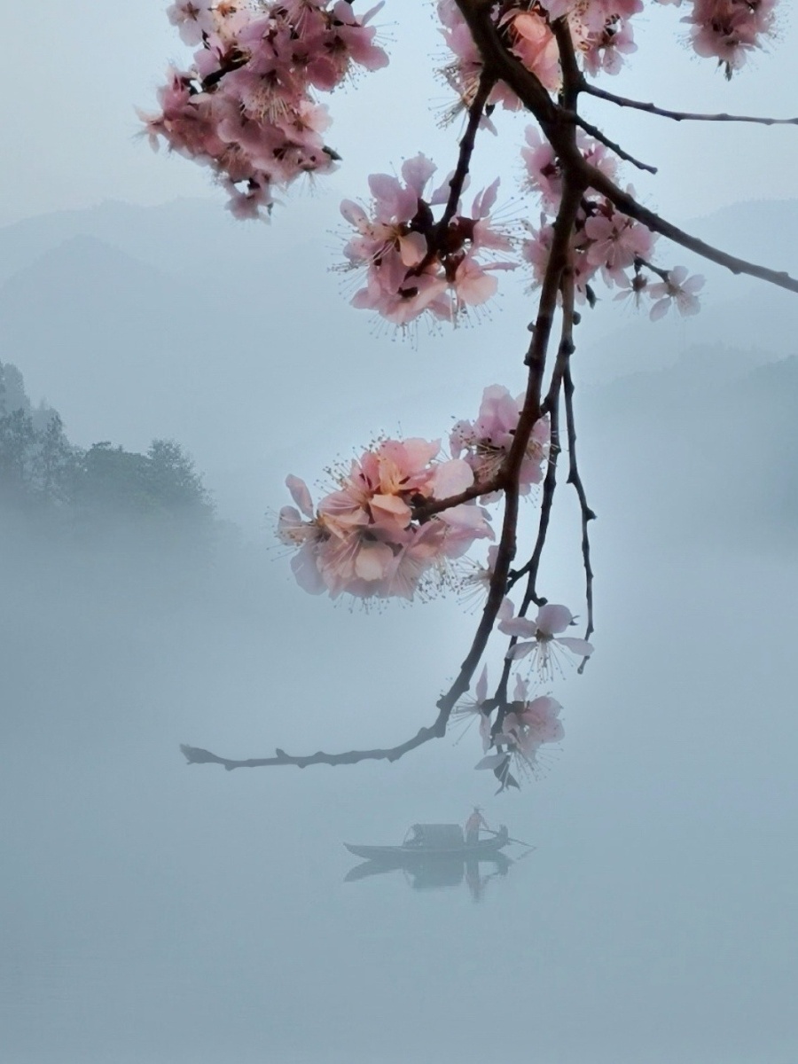 独木小舟烟雨湿一汀烟雨杏花寒