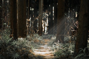 001